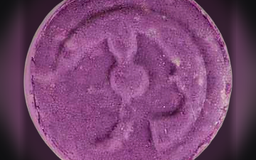 Piaggio-pillen (Ecstasy / MDMA)