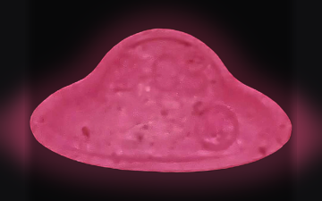 UFO-pillen (2C-B)