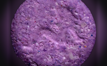 Playboy-pillen (Ecstasy / MDMA)